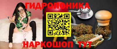 трава Будённовск