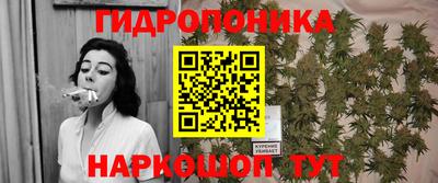крисы Бузулук