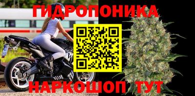 трава Будённовск