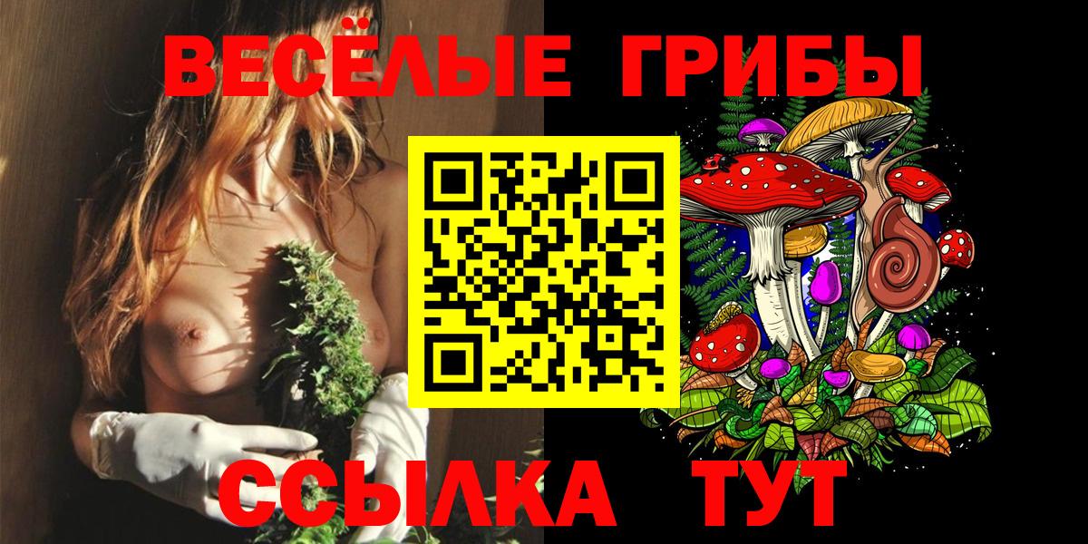 Лениногорск  Псилоцибиновые грибы MAGIC MUSHROOMS  Вход с VPN 